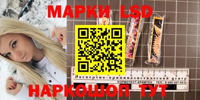 ГАЛЛЮЦИНОГЕННЫЕ ГРИБЫ Тулун
