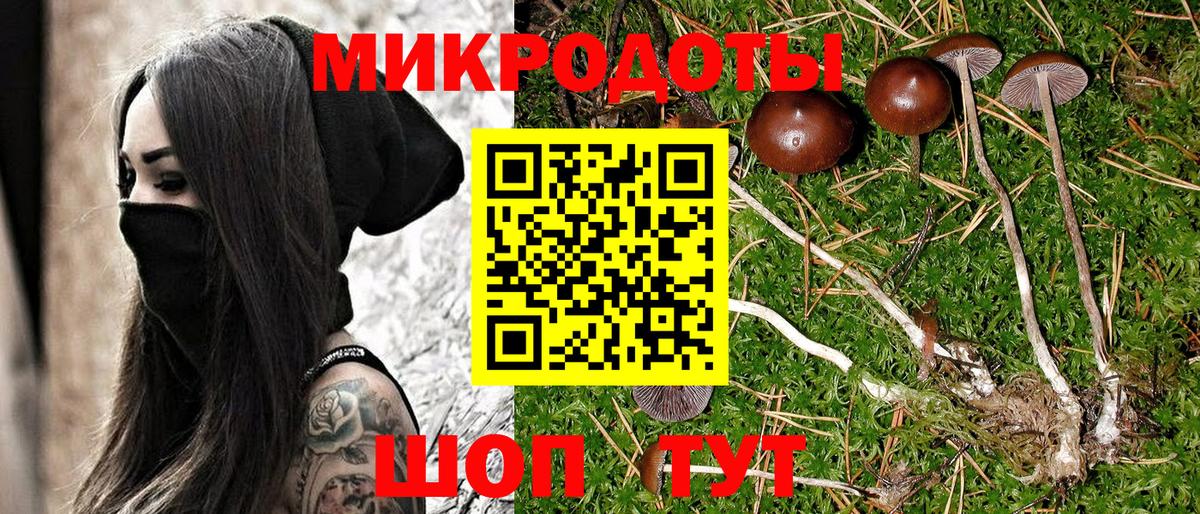 Псилоцибиновые грибы прущие грибы  Вход с VPN  Менделеевск  Галлюциногенные грибы Magic Shrooms 
